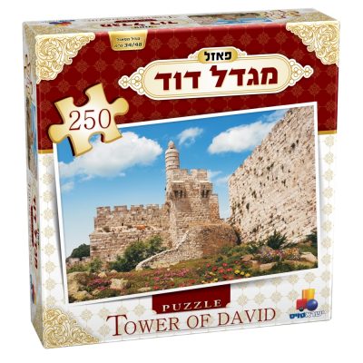 מגדל דוד 250 חלקים
