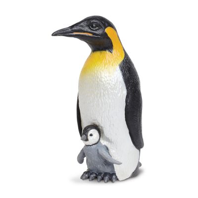 פינגווין קיסרי עם תינוק