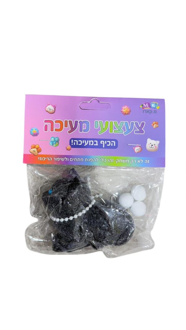 סקוושי חתול