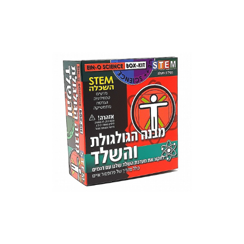 💀 מוכנים לצאת למסע מרתק בתוך גוף האדם? בואו לחקור ולגלות יחד עם פרופסור איינו את הסודות שמאחורי הגולגולת והשלד שלנו! 🔍 ערכת מבנה הגולגולת והשלד מעניקה לילדים הצצה מדהימה לאחד המבנים החשובים ביותר בגוף האדם. האם אי פעם תהיתם למה אנחנו יכולים לעמוד, ללכת, לקפוץ, להתכופף או אפילו לנשום בקלות? התשובה טמונה בשלד שלנו — המסגרת המדהימה שמחזיקה את גופנו, תומכת בנו ומאפשרת לנו כל תנועה. 💡 ומה לגבי הגולגולת? היא לא רק "עצם בראש" — היא ממש קסדה טבעית שמגנה על המוח שלנו. מבנה החזק והיציב שלה תומך במוח ושומר עליו מכל זעזוע. ✨ מה מגלה הערכה? איך בנוי השלד שמאפשר לנו לנוע מה תפקידה של הגולגולת והאופן שבו היא מגינה על המוח כיצד העצמות שומרות על יציבות וצורת הגוף 👦👧 מומלץ מגיל 6 ומעלה חוויית למידה מעשירה, סוחפת ומלאת סקרנות שתפתח את הילדים להבין איך באמת הגוף שלהם עובד.